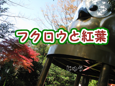 ふくろう神社！ 🪧【フクロウの住処】 🌏 野木神社 📱 2025.2.11 茨城の方にドライブ④