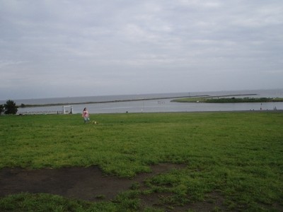 f:id:juuza12:20090607223446j:image f:id:juuza12:20090607223446j:image
