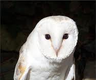f:id:juverk:20131009095940j:plain