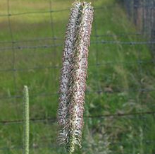 f:id:juverk:20140419142938j:plain