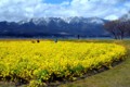 守山市なぎさ公園