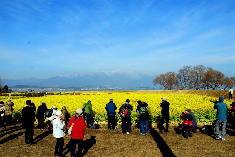 京都新聞写真コンテスト　一歩下がって