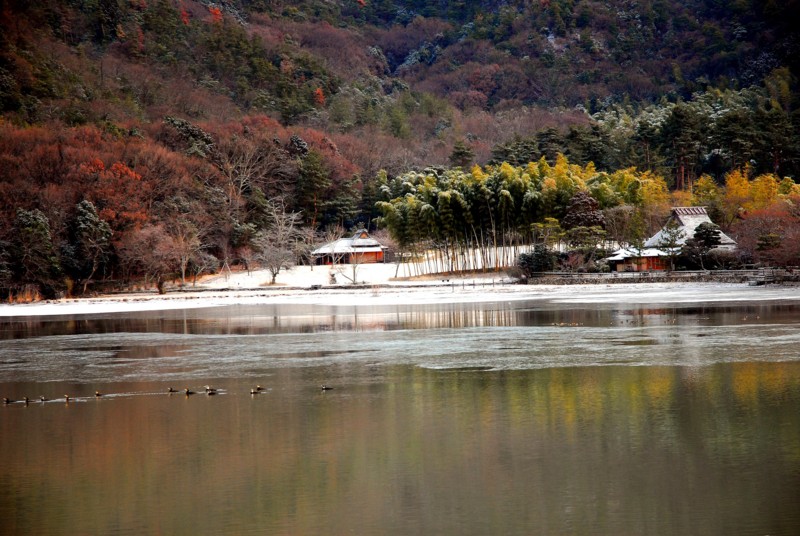 広沢街道冬景色