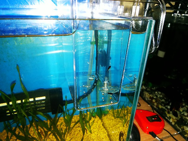 f:id:jy970523:20200419182515j:image