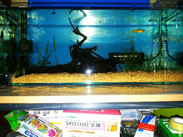 f:id:jy970523:20200419183201j:image