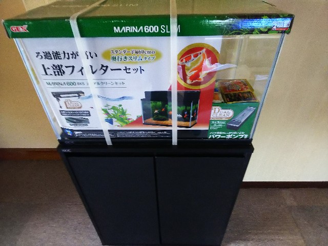 f:id:jy970523:20200425200530j:image f:id:jy970523:20200425200530j:image