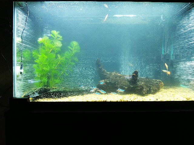 f:id:jy970523:20200425202310j:image f:id:jy970523:20200425202310j:image