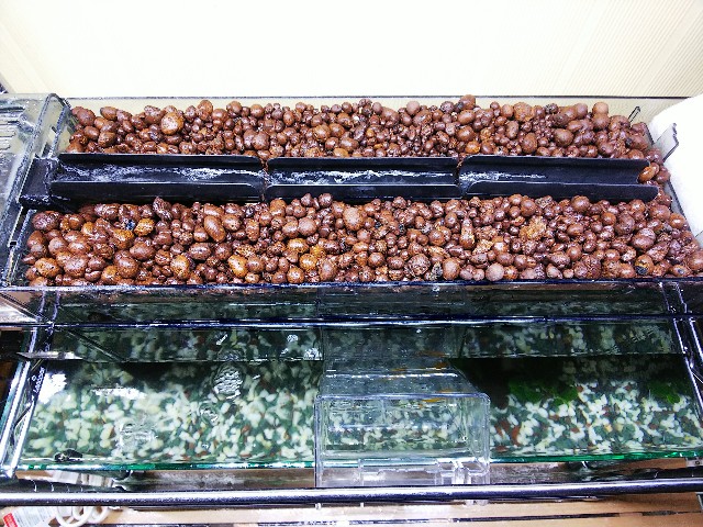 f:id:jy970523:20200523175152j:image