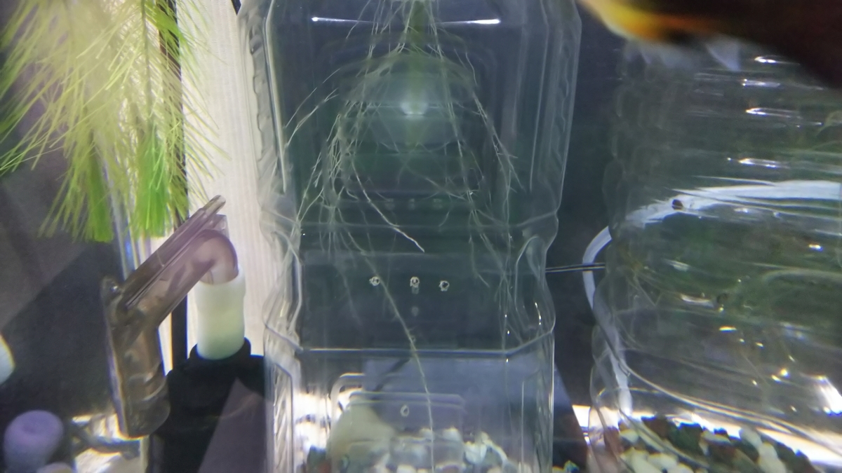 f:id:jy970523:20220408213623j:plain