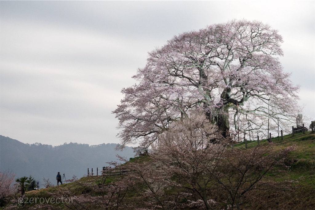 f:id:jyagabata:20190109161730j:image f:id:jyagabata:20190109161730j:image