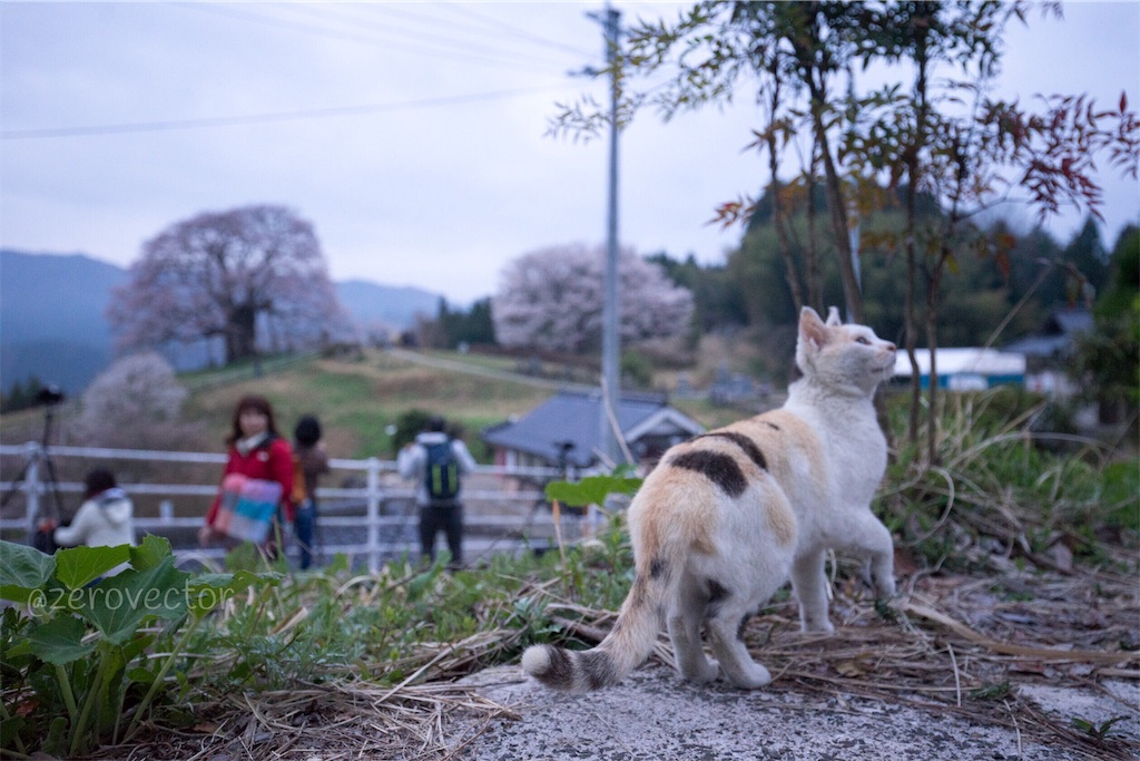 f:id:jyagabata:20190109161734j:image f:id:jyagabata:20190109161734j:image