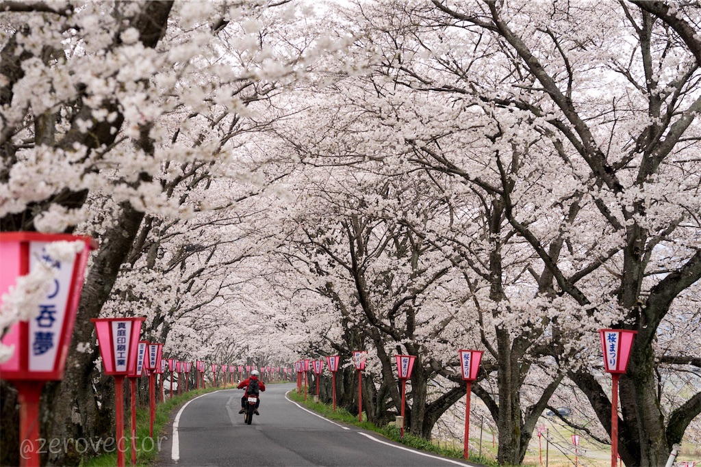 f:id:jyagabata:20190109162317j:image f:id:jyagabata:20190109162317j:image