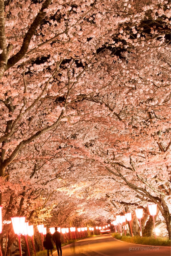 f:id:jyagabata:20190109162640j:image f:id:jyagabata:20190109162640j:image