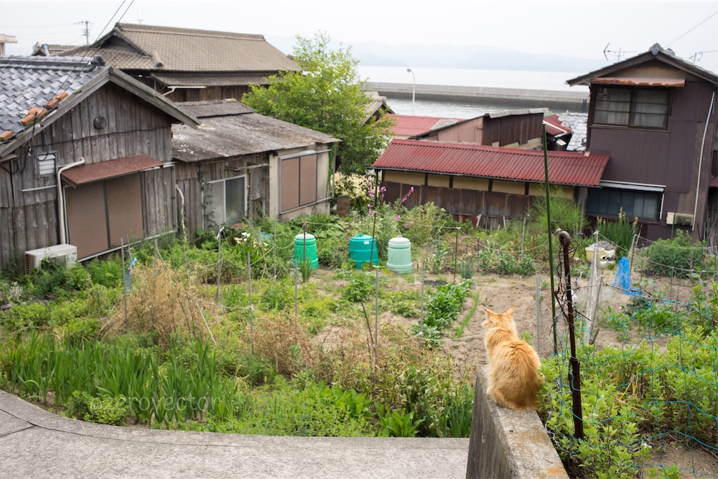 f:id:jyagabata:20190110000202j:image f:id:jyagabata:20190110000202j:image