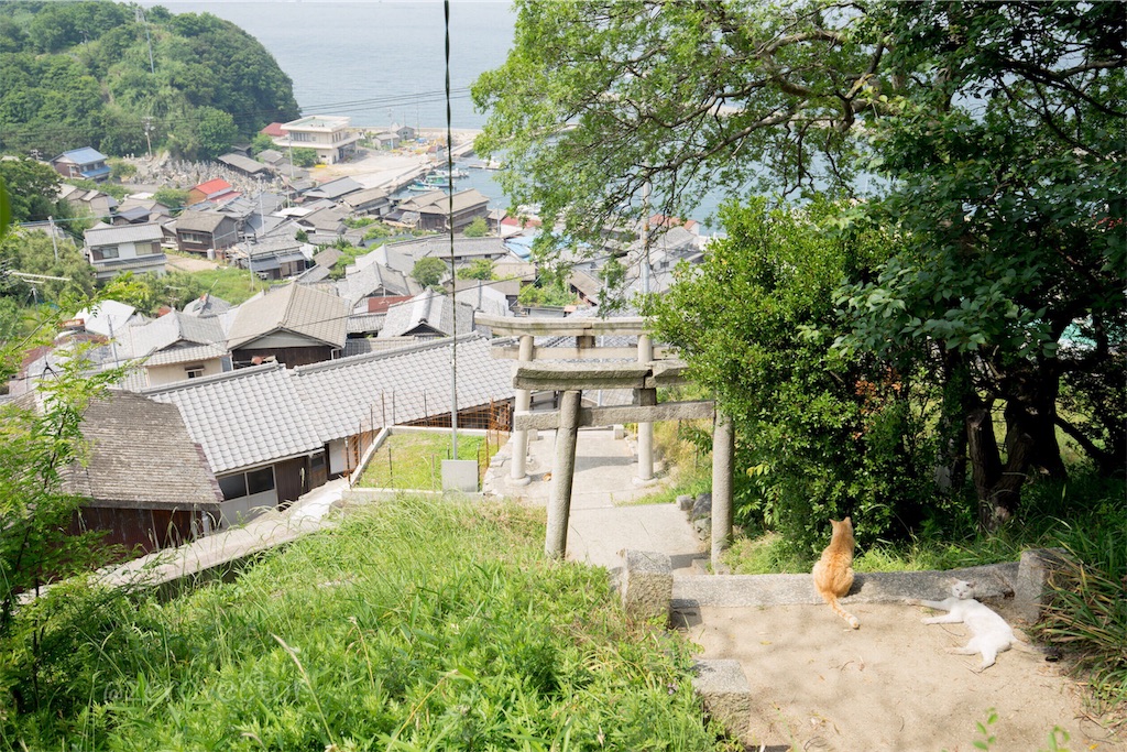 f:id:jyagabata:20190110000210j:image f:id:jyagabata:20190110000210j:image