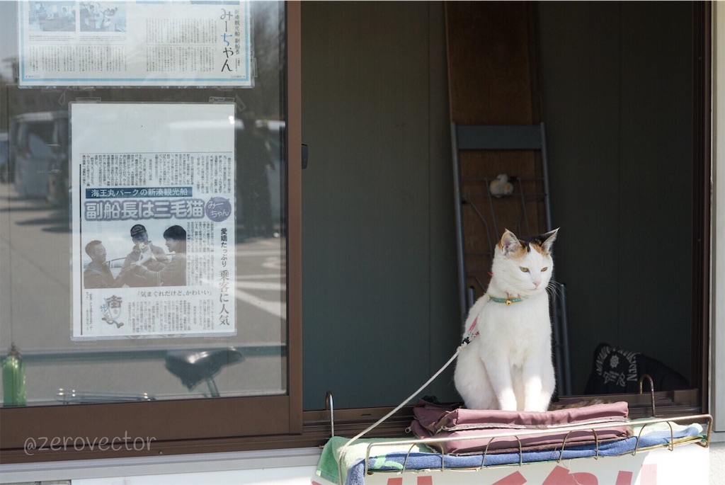 f:id:jyagabata:20190317201059j:image f:id:jyagabata:20190317201059j:image
