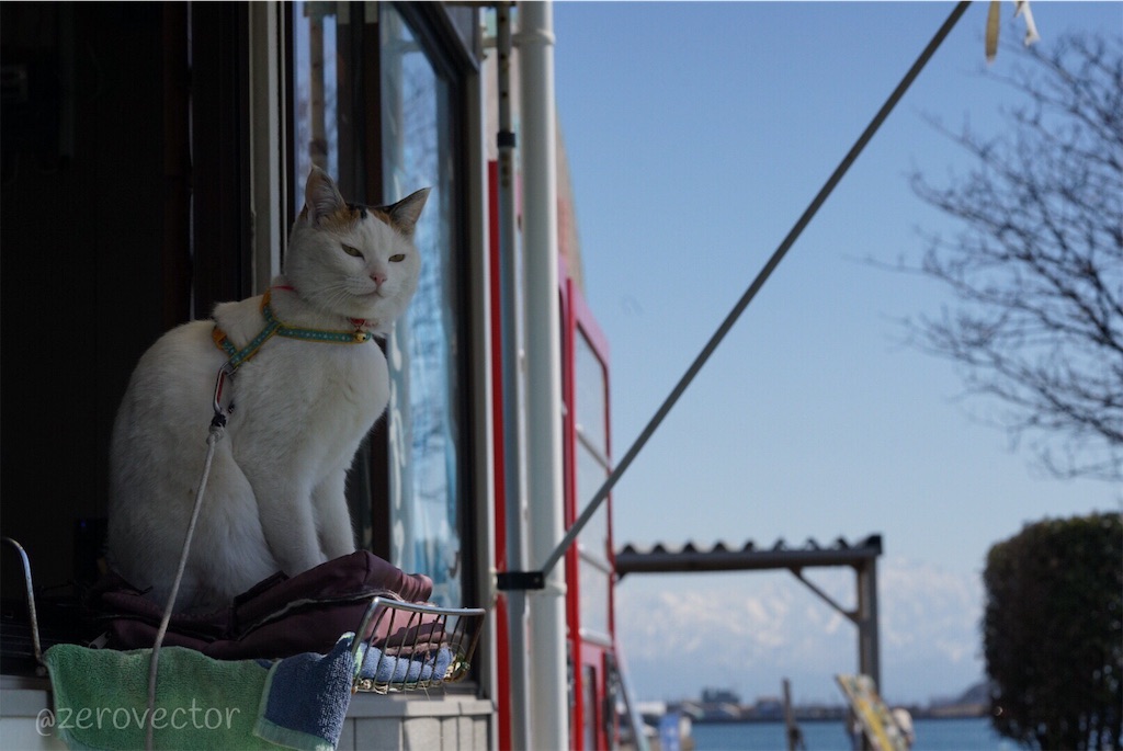 f:id:jyagabata:20190317201105j:image f:id:jyagabata:20190317201105j:image