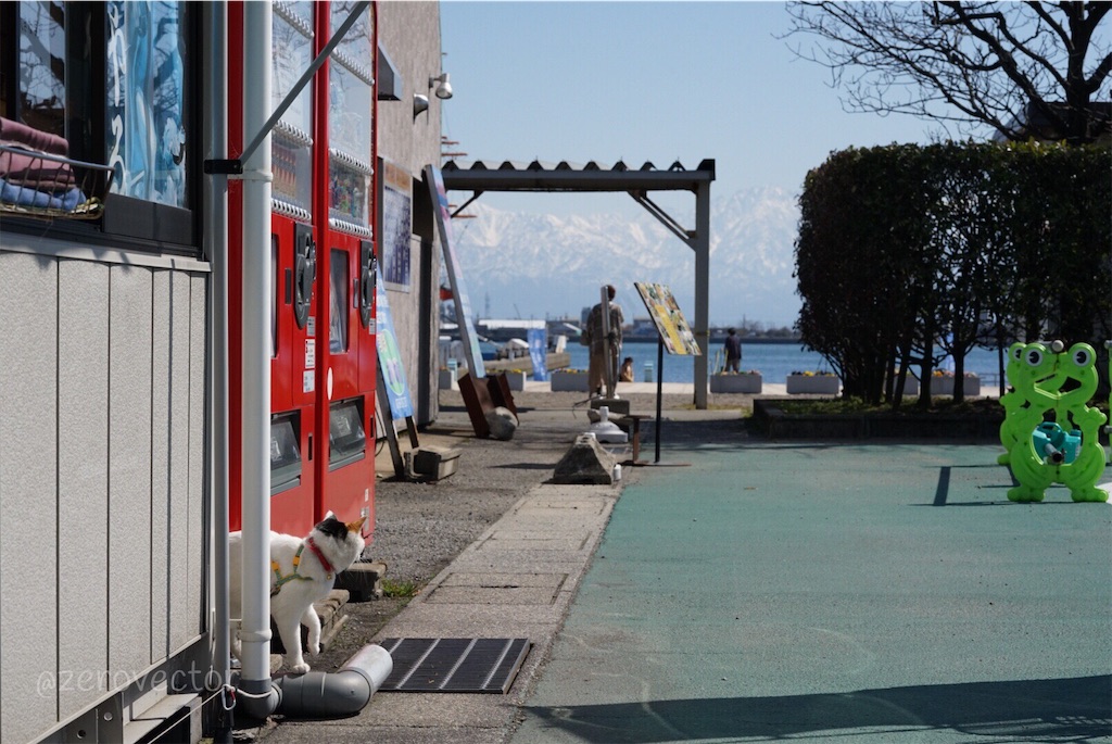 f:id:jyagabata:20190317201116j:image f:id:jyagabata:20190317201116j:image