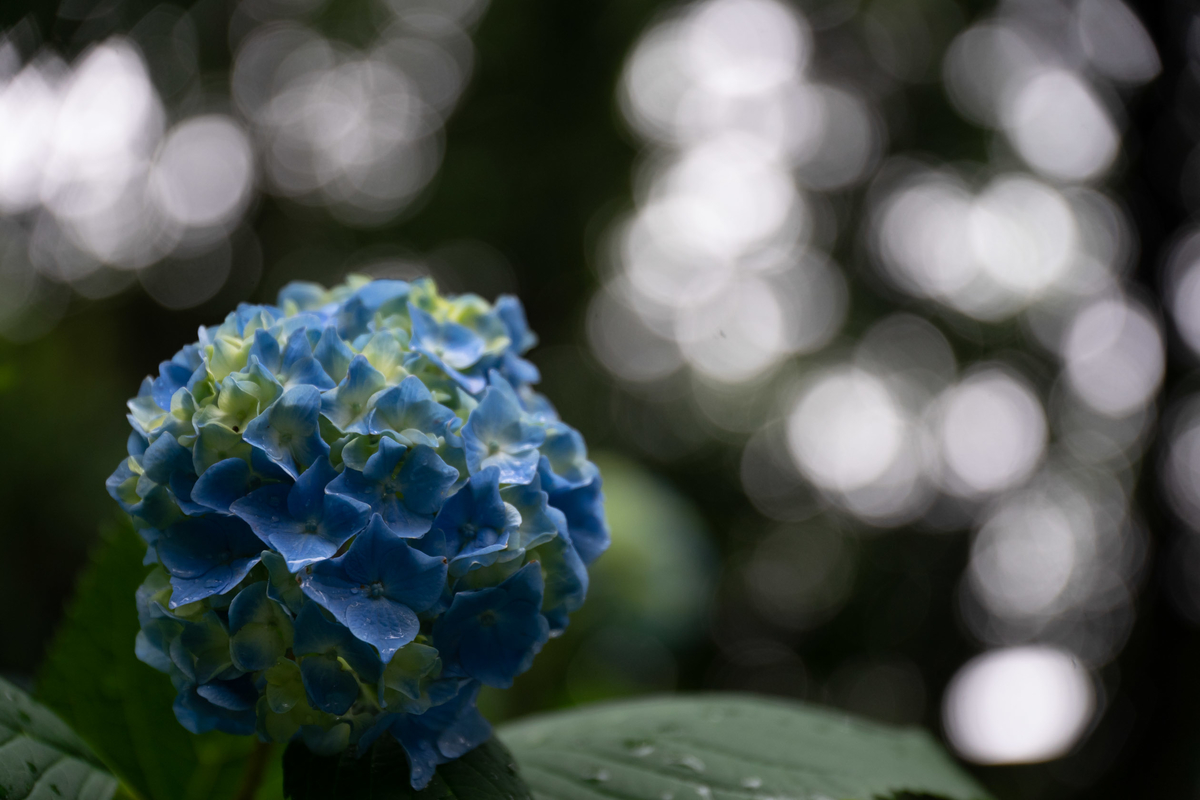 f:id:jyagabata:20190608225147j:plain f:id:jyagabata:20190608225147j:plain