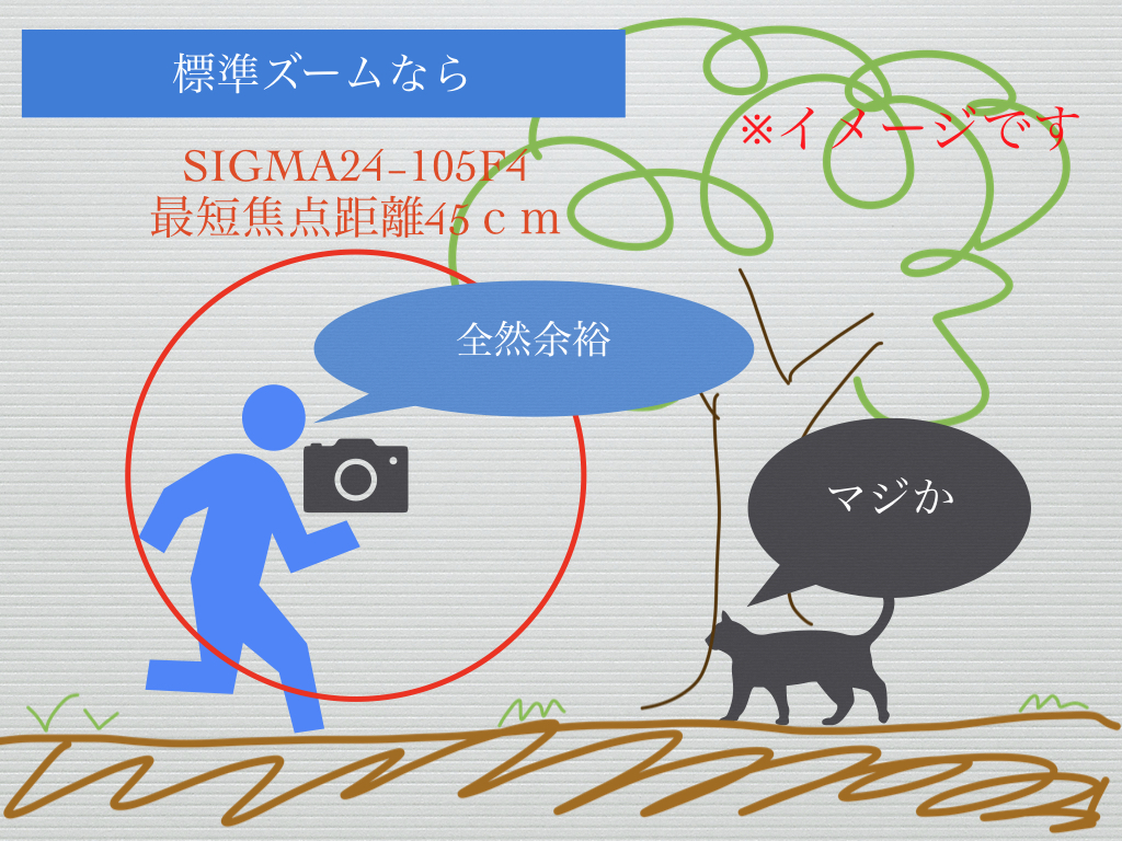 f:id:jyagabata:20190609094942j:plain f:id:jyagabata:20190609094942j:plain