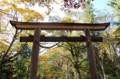 20121020143646