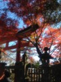 20121110115230