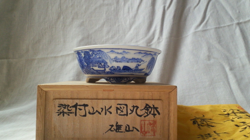 f:id:jyakuchu:20100228130000j:image