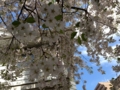 f:id:jyakuchu:20140405102527j:image:medium f:id:jyakuchu:20140405102527j:image:medium