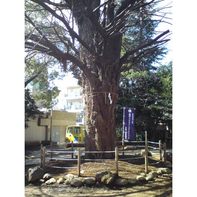 イメージ 2