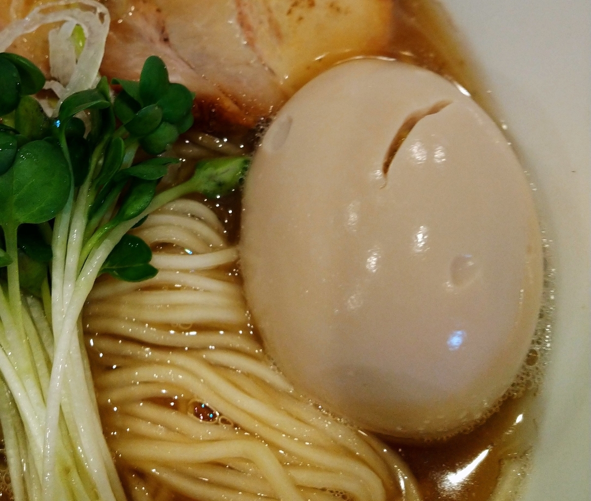 f:id:jyn1:20201203074232j:plain