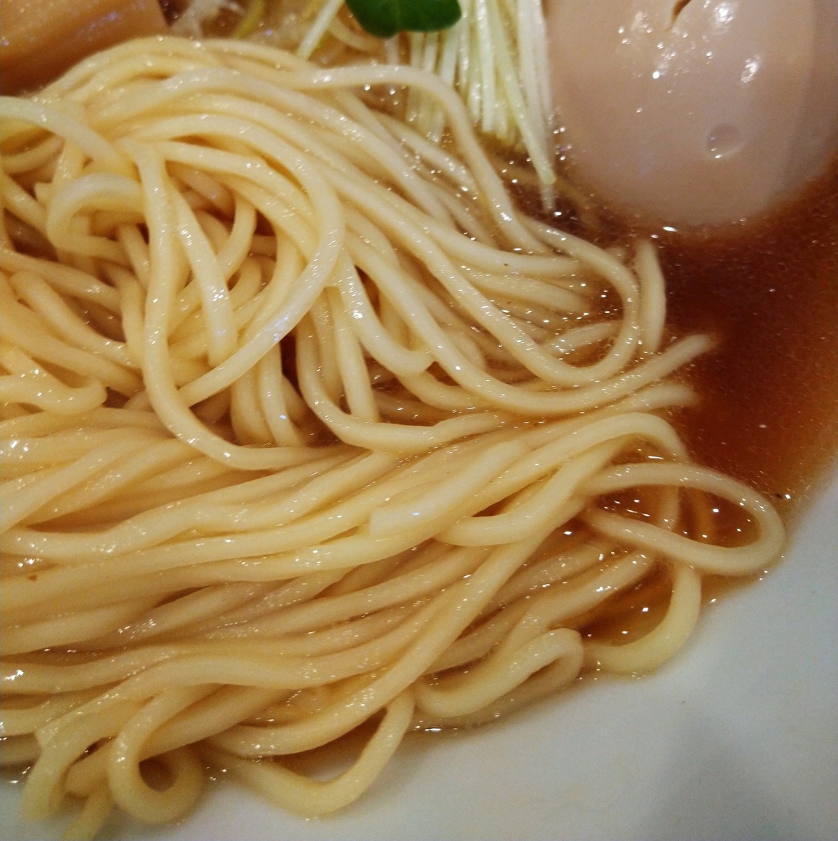 f:id:jyn1:20201203074244j:plain
