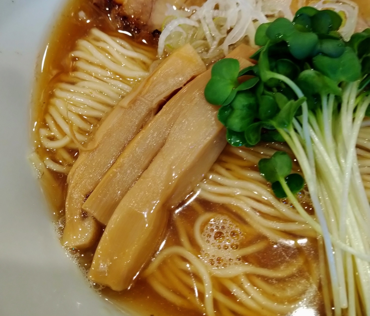 f:id:jyn1:20201203074350j:plain