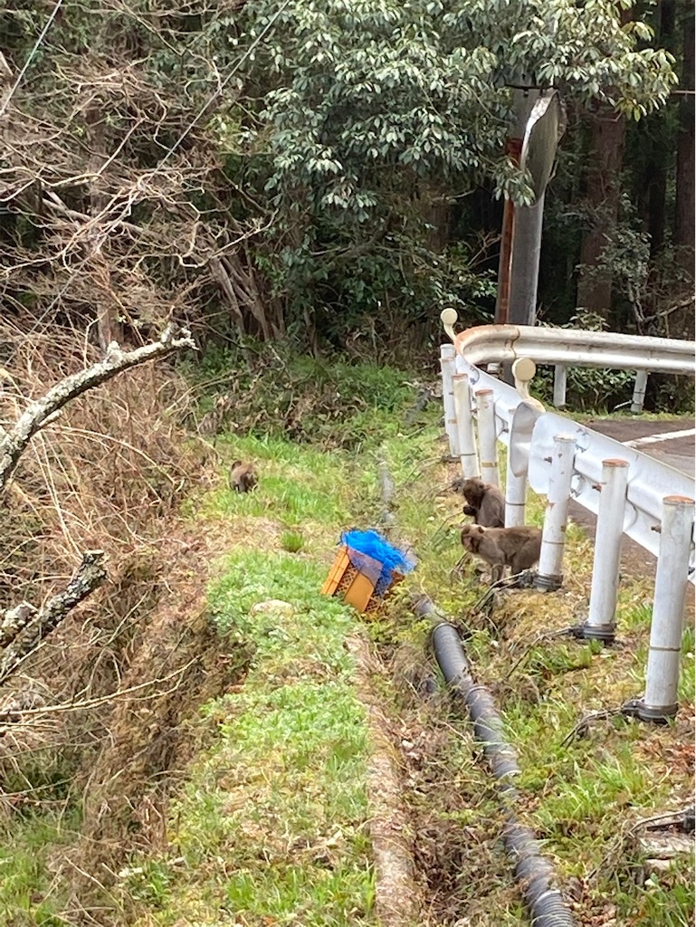 f:id:jyokun0805:20210321045005j:image f:id:jyokun0805:20210321045005j:image