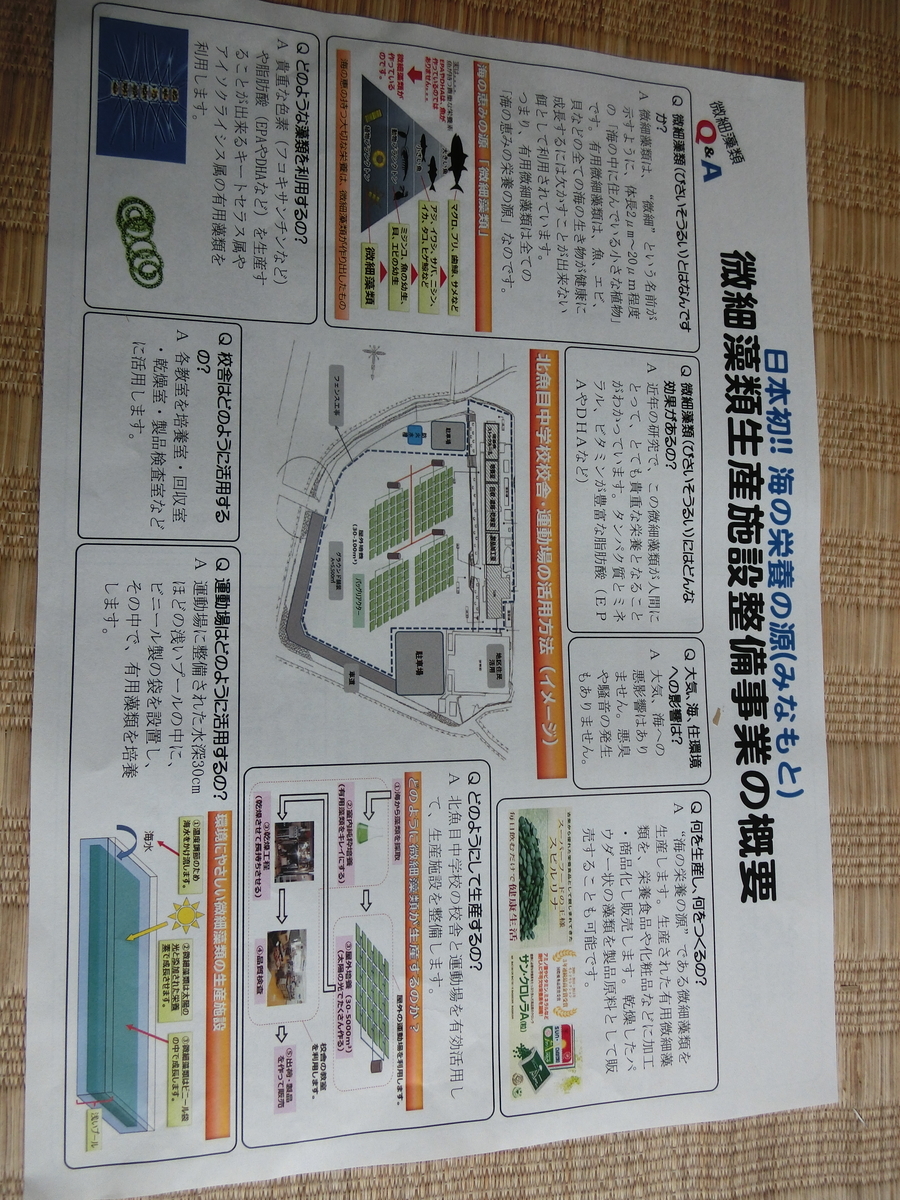 微細藻類によるエネルギー生産と事業展望 = Technology of Mic… 【公式