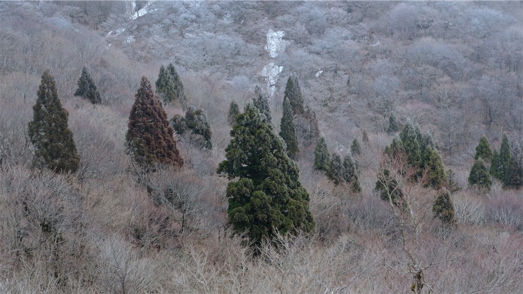 f:id:jyuken0616:20210312173653j:image f:id:jyuken0616:20210312173653j:image