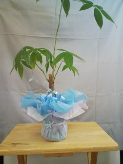 f:id:jyuku-cho:20100913130146j:image