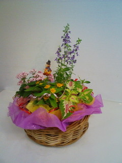 f:id:jyuku-cho:20100913145651j:image