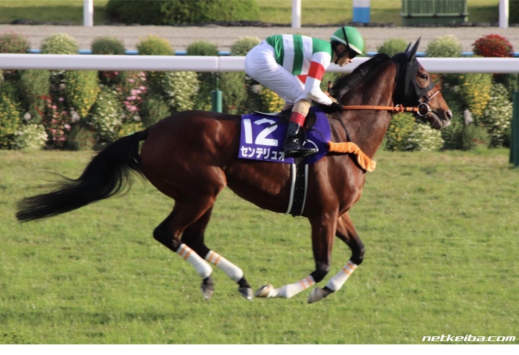 f:id:jyunkyuyodoyuki:20200923224910j:image f:id:jyunkyuyodoyuki:20200923224910j:image