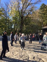 f:id:jyunrei:20171024165349j:plain f:id:jyunrei:20171024165349j:plain