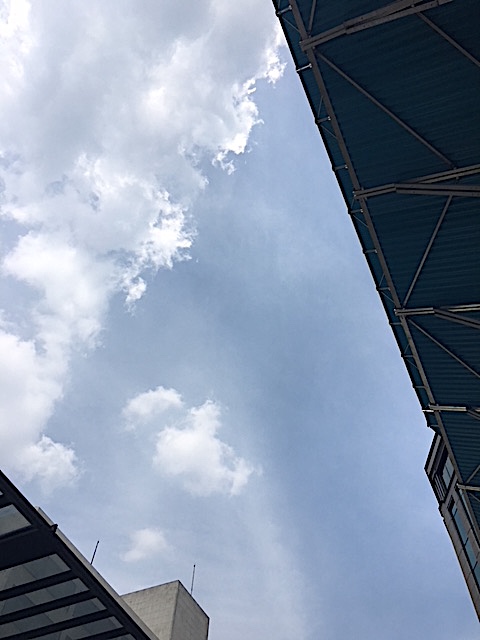 f:id:jyurakusha:20180725172929j:plain