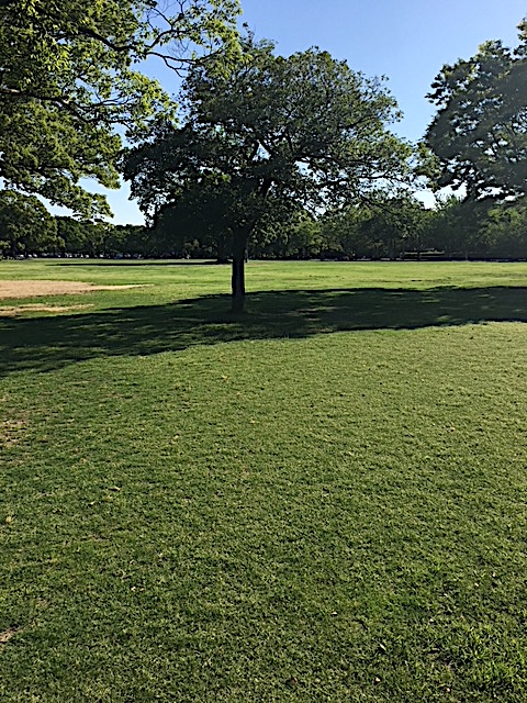 f:id:jyurakusha:20180731144315j:plain