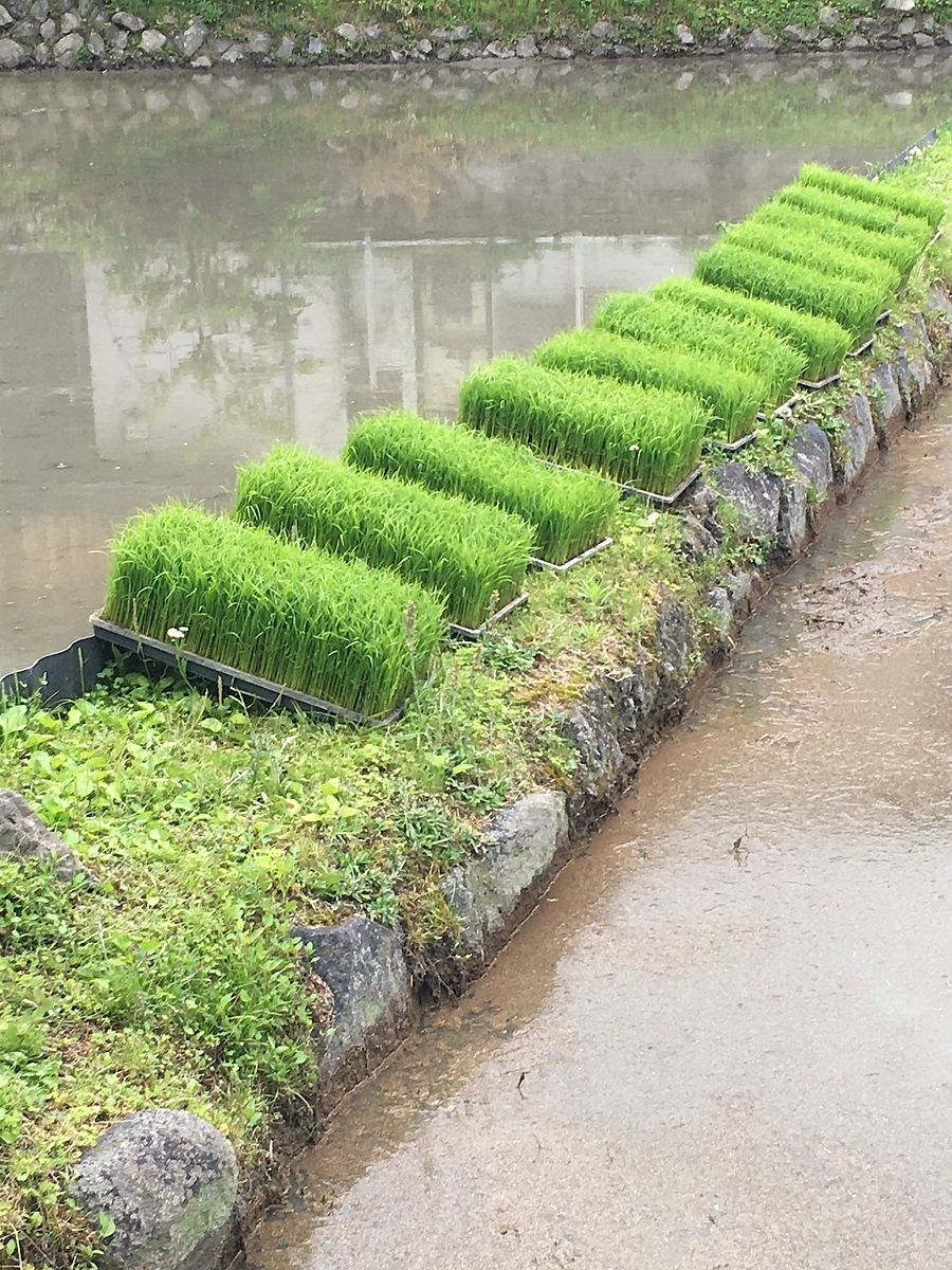 f:id:jyurakusha:20200531204658j:plain f:id:jyurakusha:20200531204658j:plain