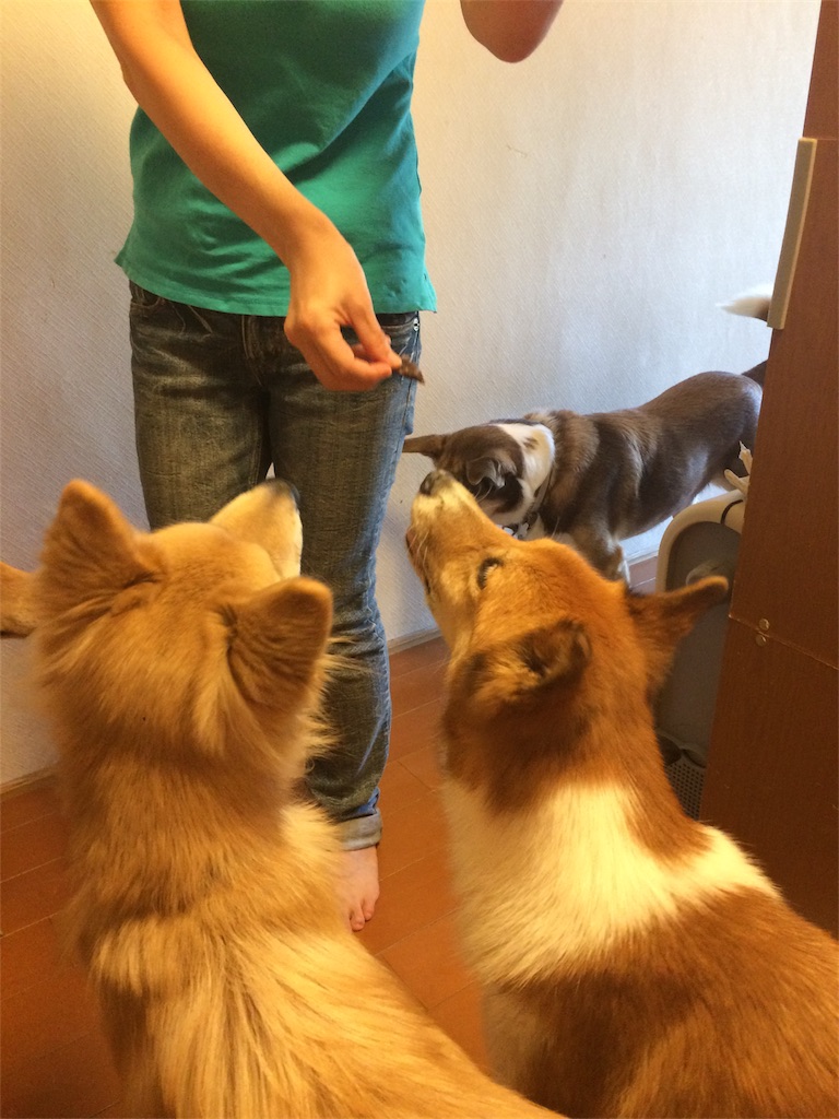 f:id:jyuripon:20170926091541j:image