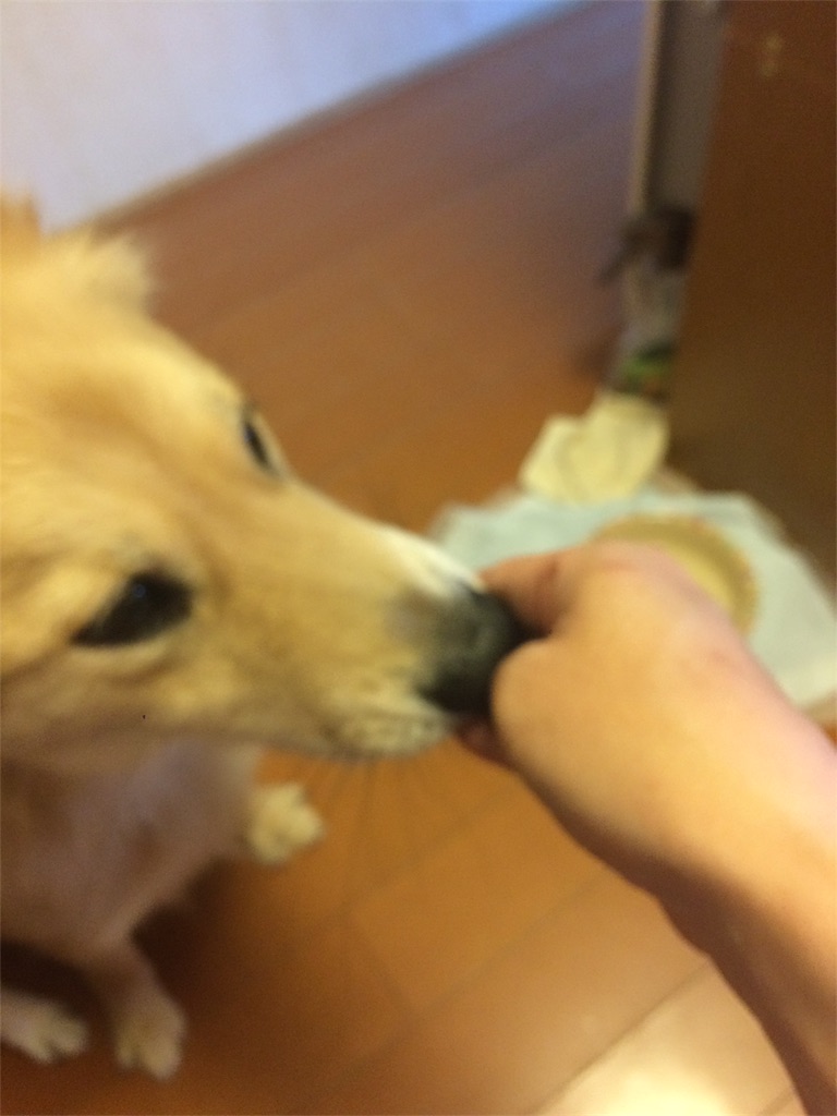 f:id:jyuripon:20170926091736j:image
