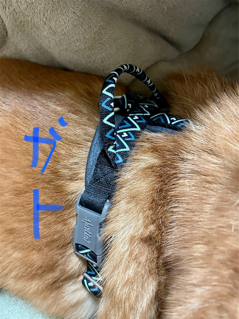 f:id:jyuripon:20220430162434j:image