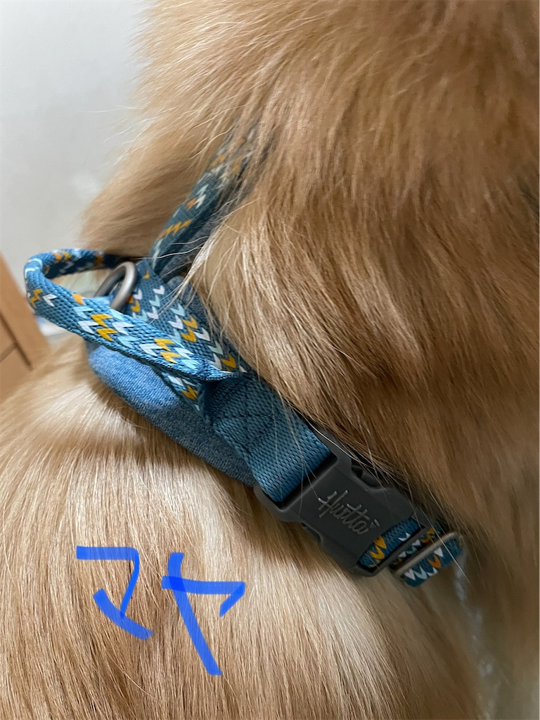 f:id:jyuripon:20220430162448j:image