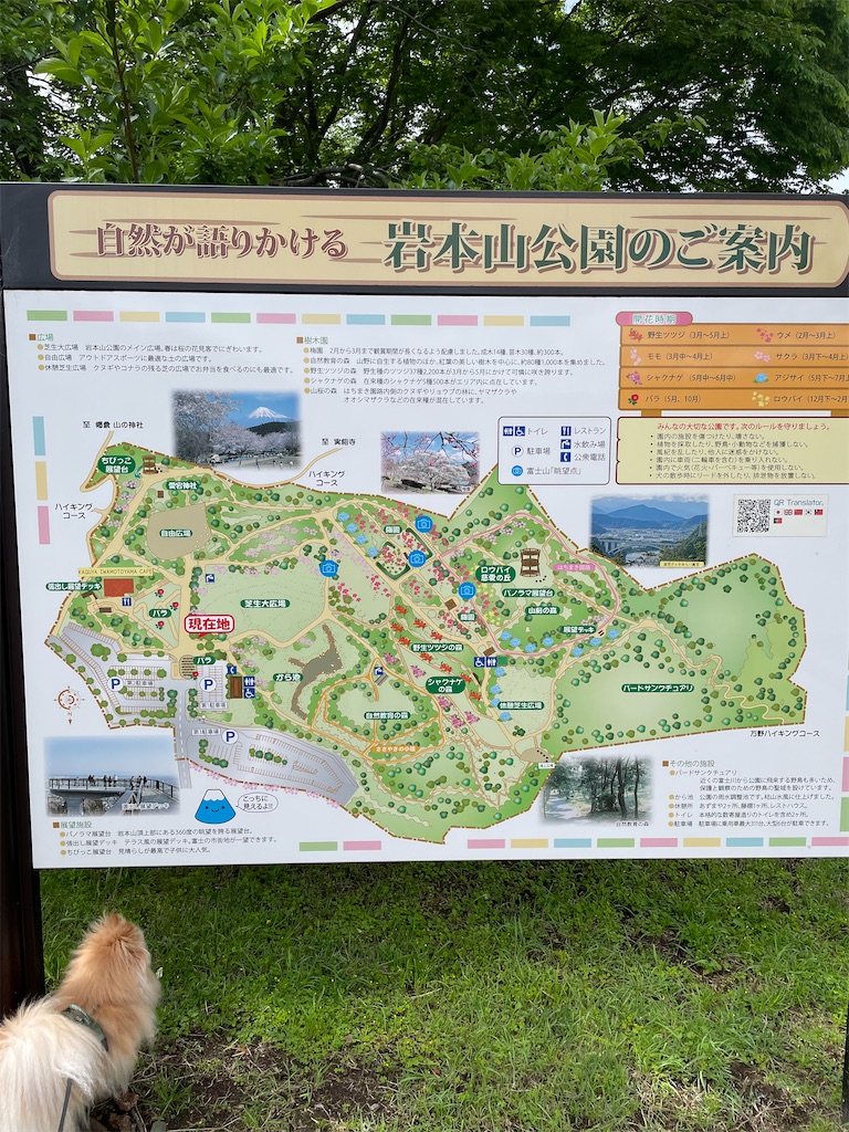 f:id:jyuripon:20220506125143j:image