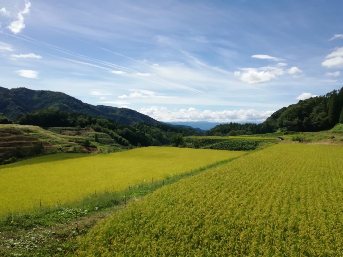 f:id:jyusyoku1156:20190913023030j:plain
