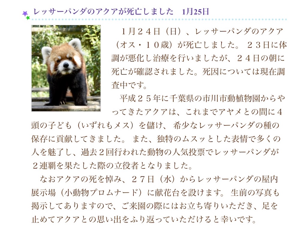 f:id:jzzzn:20210316141432j:image