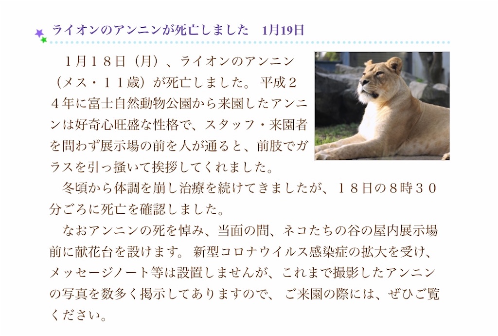 f:id:jzzzn:20210316141442j:image